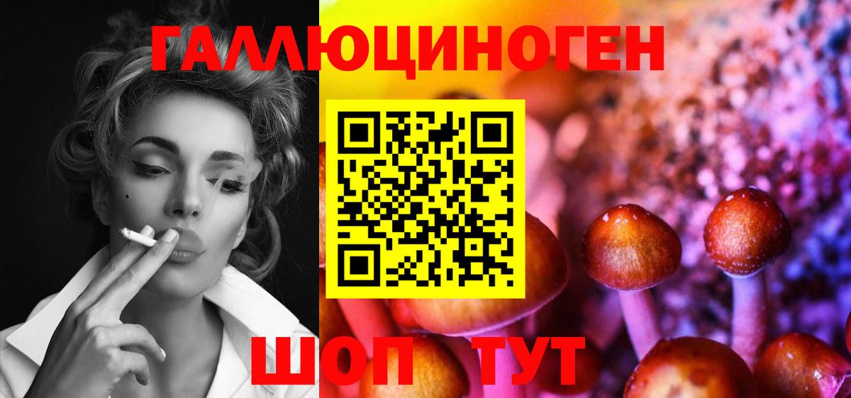 Псилоцибиновые грибы мухоморы  купить   Пенза  Вход с VPN 